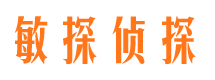 云城市私家侦探